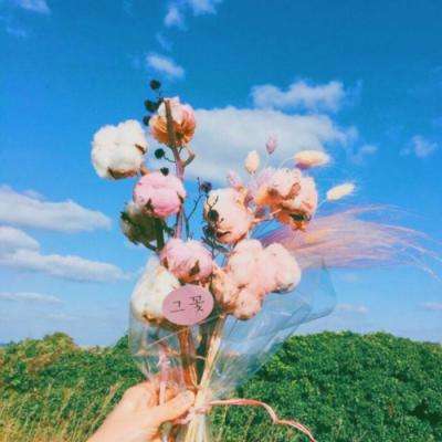 bob体育下载地址